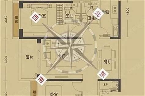 大门向西南2023